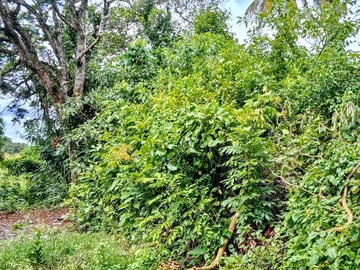 Residential Land For Sale In Pont Praslin