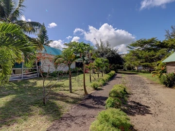 Commercial Land