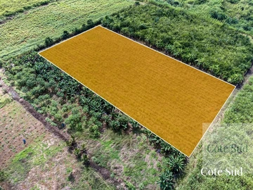 Agricultural Land