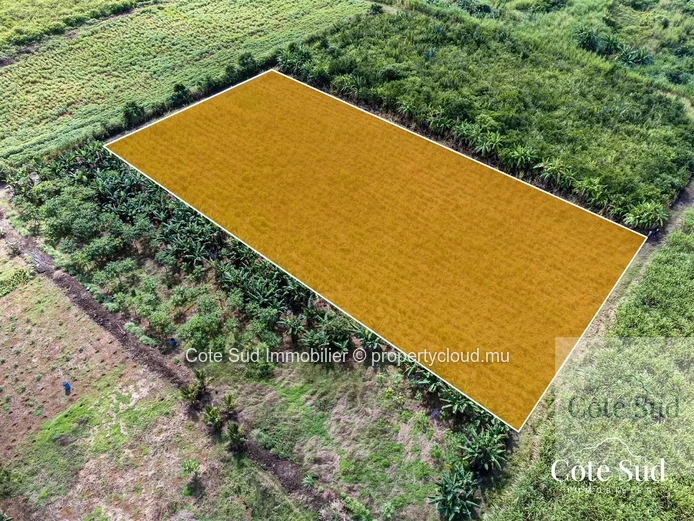 Terrain Agricole - Deux Bras