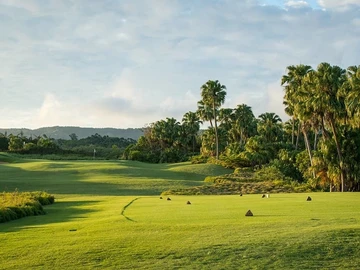 Residential Land