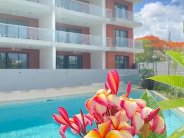 2 Bedroom Penthouse