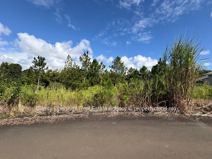 529 m² Hermitage Plot — Paved Road, Near Schools & Shops