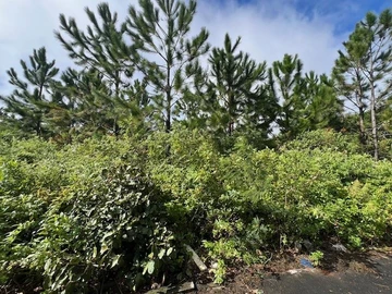 Residential Land