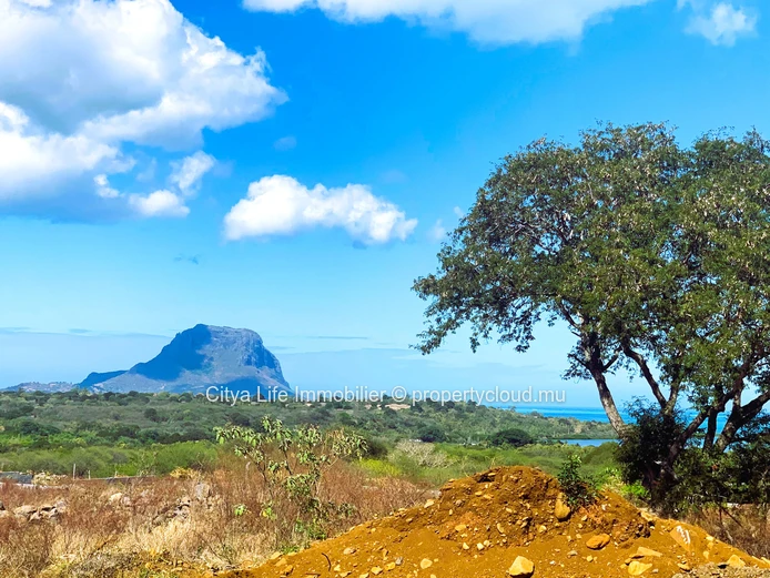 This enchanting plot of land is a piece of paradise waiting to be discovered. 