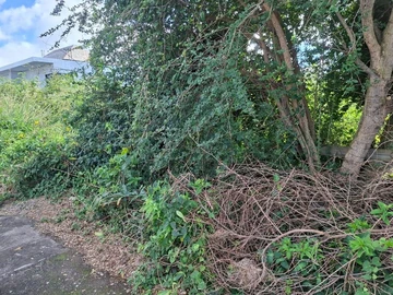 Residential Land
