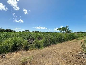 Land