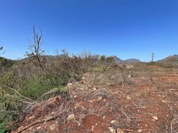 Land