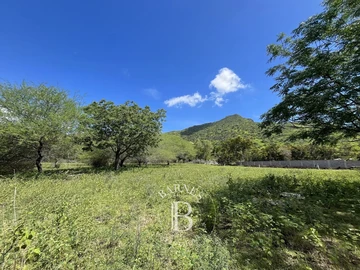 Residential Land