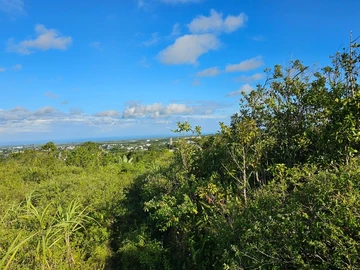 Agricultural Land