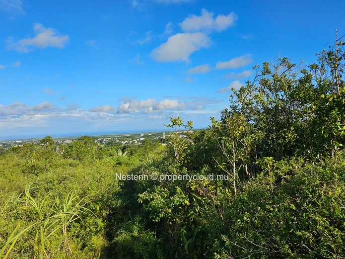 5 arpents 28 perches of agricultural land  Panoramic mountain & sea view
