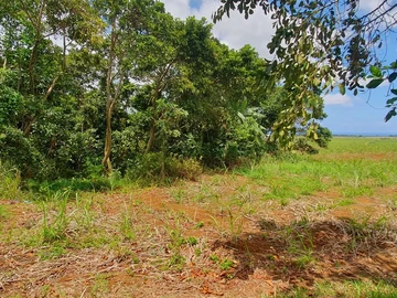 Residential Land