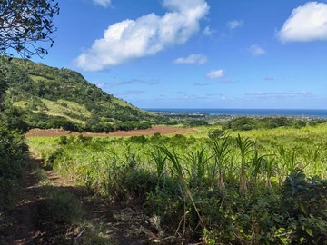 Terrain Agricole
