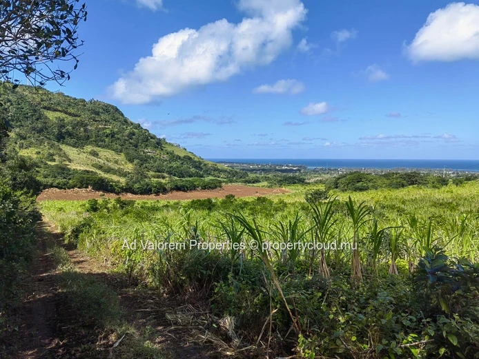 Large Agricultural Land for Sale – Martinière, Surinam – Panoramic Views & Natural Setting
