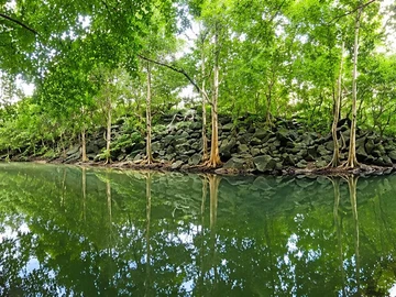Terrain Résidentiel