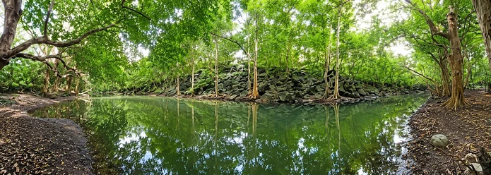 An Exceptional Opportunity in Tamarin – 7-Arpent Residential Land