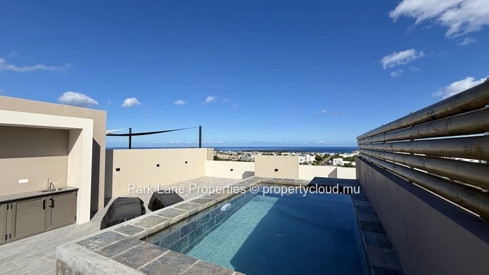 Top-Floor 3-Bedroom Apartment with Exclusive Rooftop and Plunge Pool