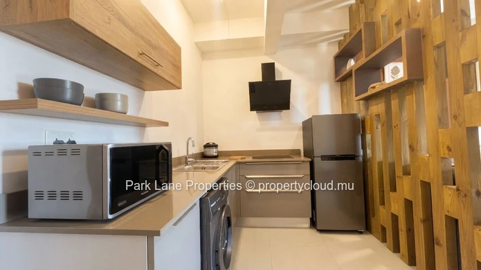 Elegant & Stylish Fully Furnished Studio in a New Residence – Côte d’Or