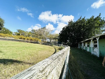 Agricultural Land