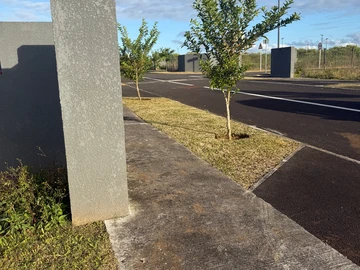 Residential Land