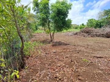 Terrain Agricole