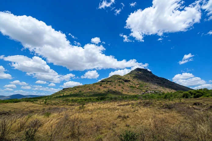 An Exceptional Opportunity in Tamarin – 7-Arpent Residential Land