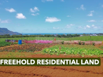 Residential Land