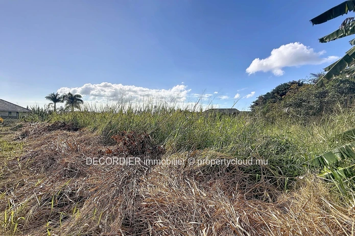 Terrain à vendre – Mont Gout