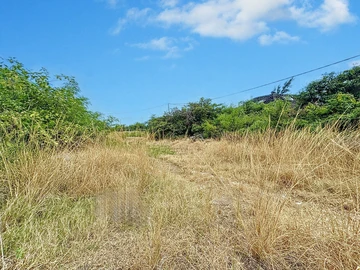 Land