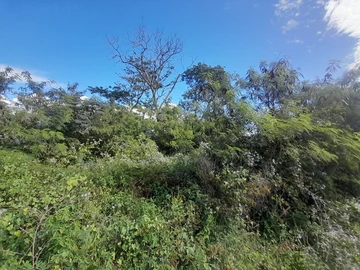 Residential Land