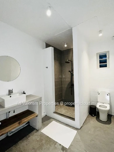Grande Maison 9 Chambres à Vendre à La Gaulette