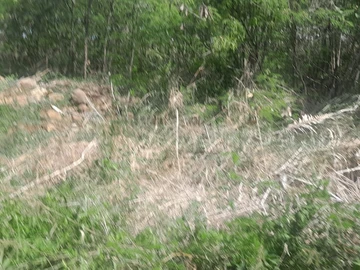 Agricultural Land