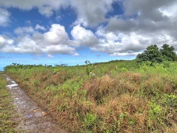 Agricultural Land