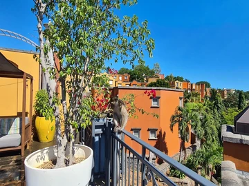 3 Bedroom Townhouse, Duplex