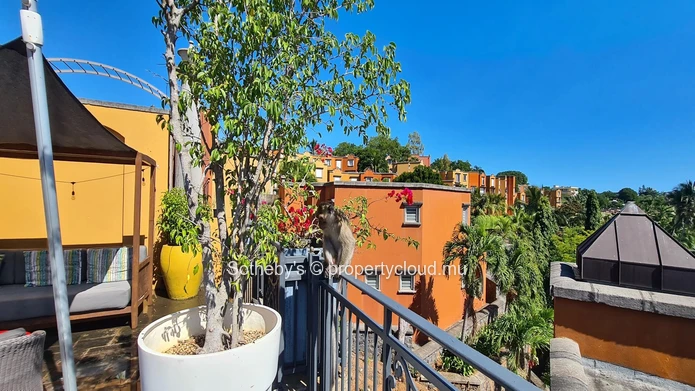 Encantadora Rental