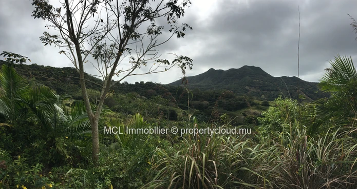 Terrain agricole de 9 arpents 42 perches  à Anse Jonchée