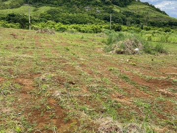 Agricultural Land