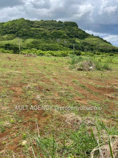 Terrain Agricole - 7750 m² Surinam, Sud