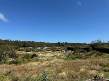 Terrain