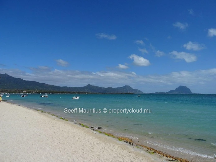 Escape To Coastal Paradise_ La Preneuse Ave Des Lataniers