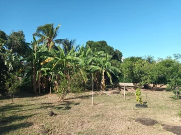 Residential Land