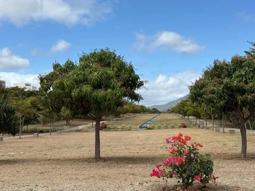 Residential Land
