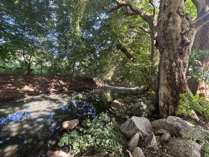 Villa de 2 chambres avec jardin à vendre à Rivière Noire