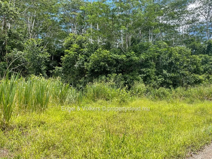 For Sale - Agricultural land in Chamarel