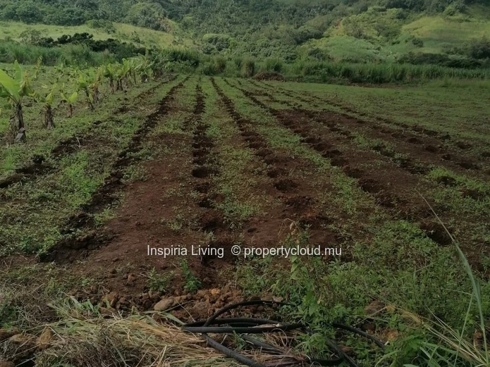 Farm for sale in Chamouny — Sea & Mountain Views