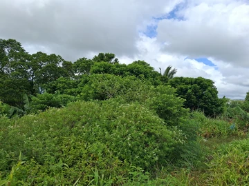 Residential Land