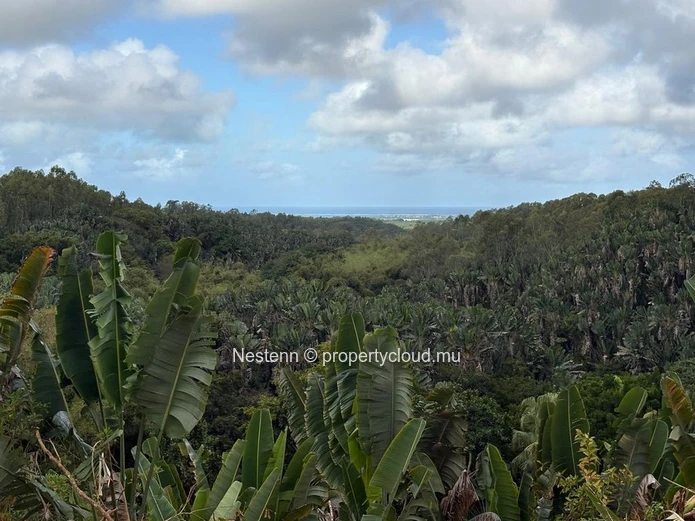One-of-a-kind elevated agricultural plot with spectacular sea, river & mountain views of 4,405.49m² 