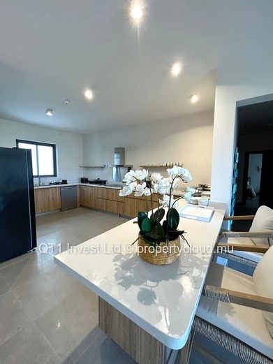 Appartement De Luxe A Trou Au Biches
