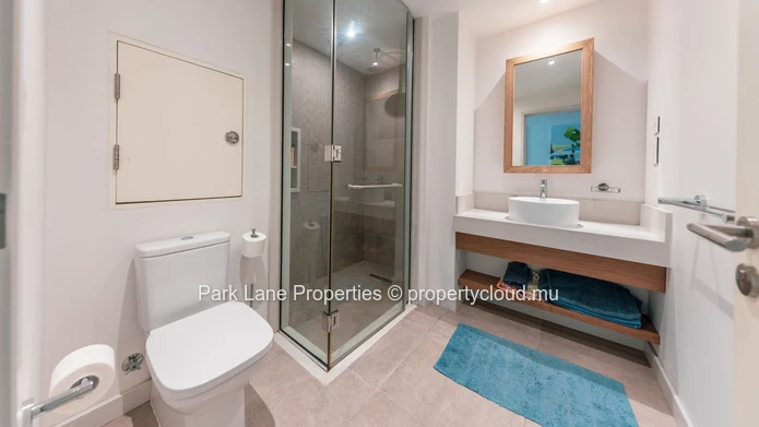 Appartement de prestige en IRS