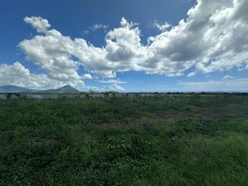 Land